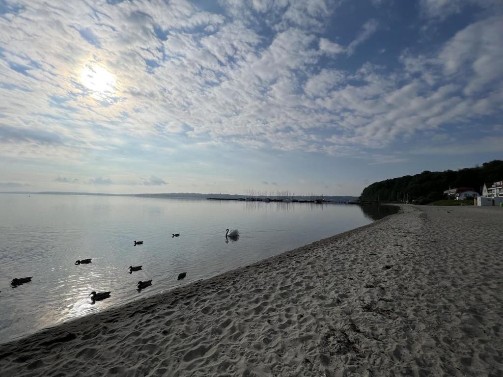 'Kapitaenslounge' Vollsanierte Fewo Mit Blick Auf Die Flensburger Foerde Harrislee Εξωτερικό φωτογραφία